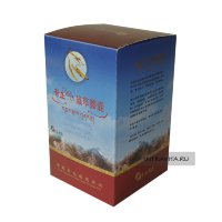 Кордицепс китайский в капсулах (90 капсул)