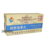 Гуй Фу Ди Хуан Вань Золотой Ларец Guifu Dihuang Wan общеукрепляющие пилюли формула 851 Ваньси